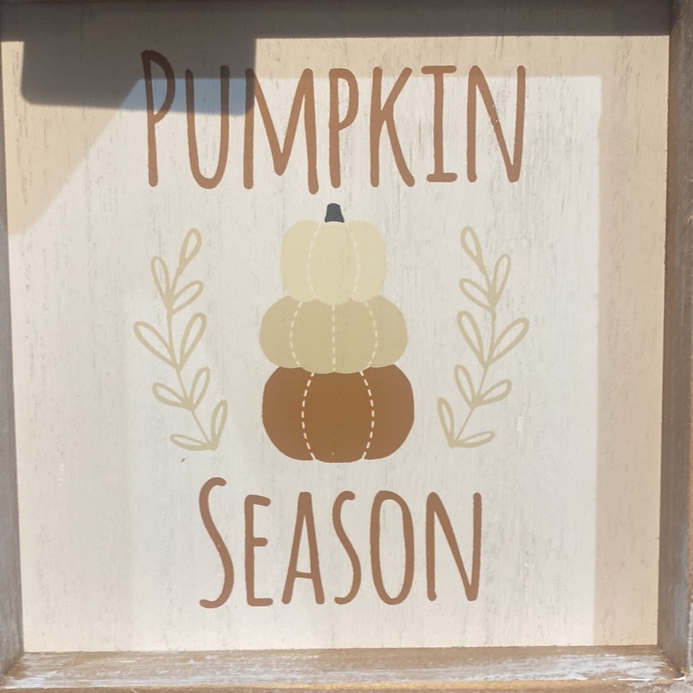 Adams & Co Pumpkin Season Farmhouse Fall/Halloween Decor! NWT